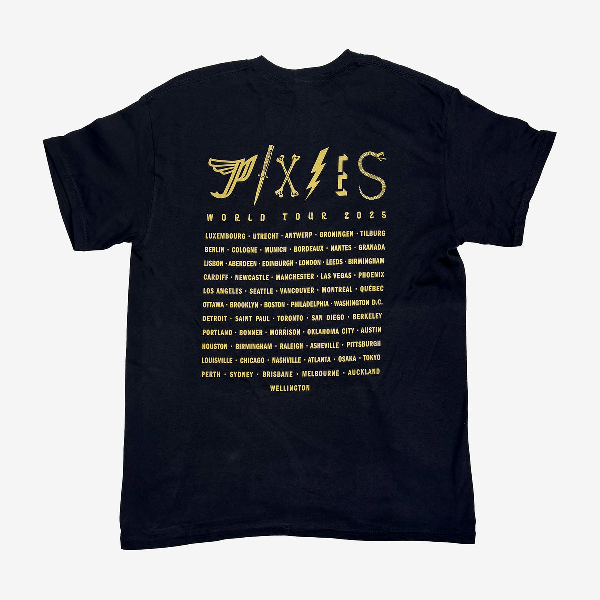Pixies Glyphs Tee Back