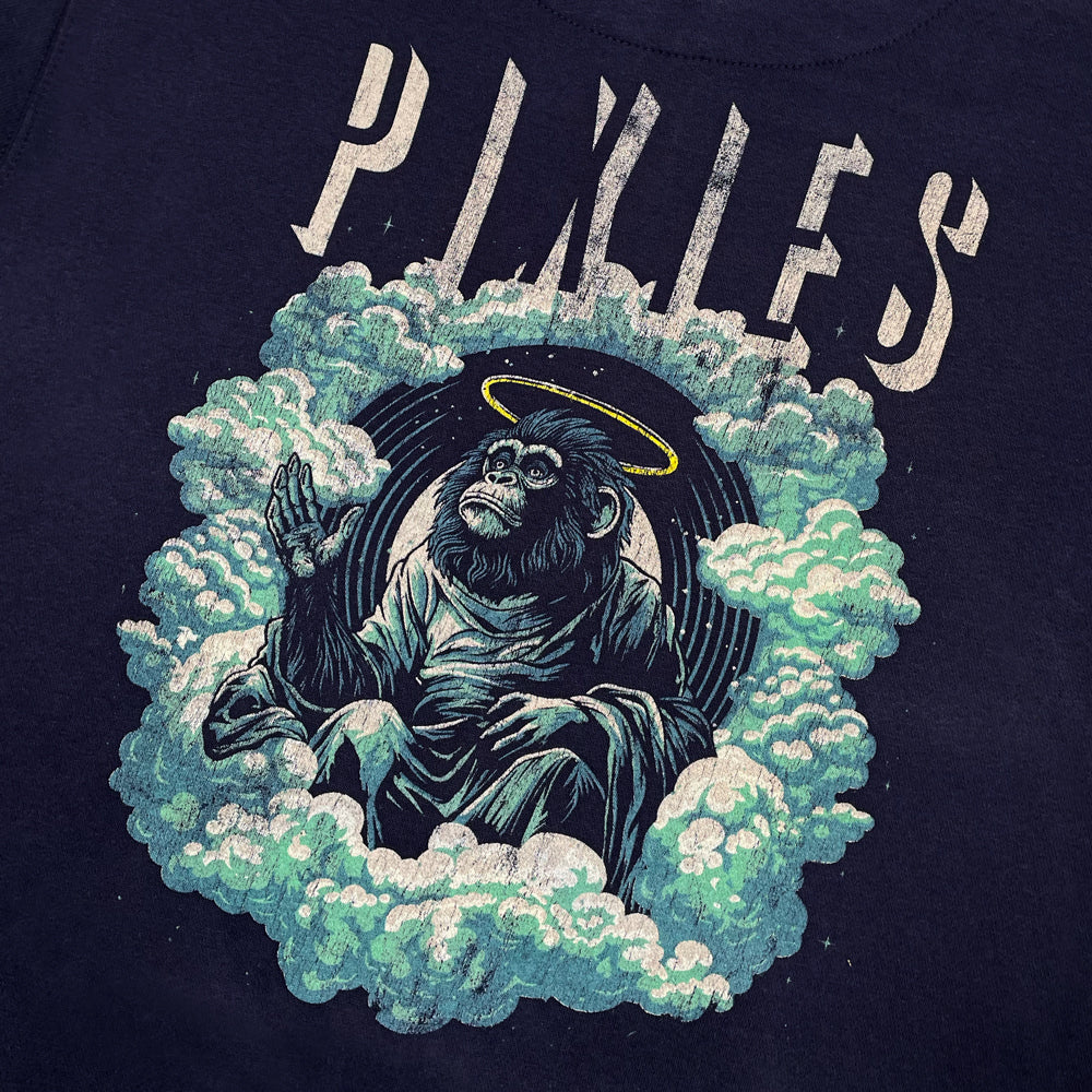Close up of the back of a navy hoodie with distressed light gray text reading "Pixies" with a design of an angelic monkey sitting amongst clouds.