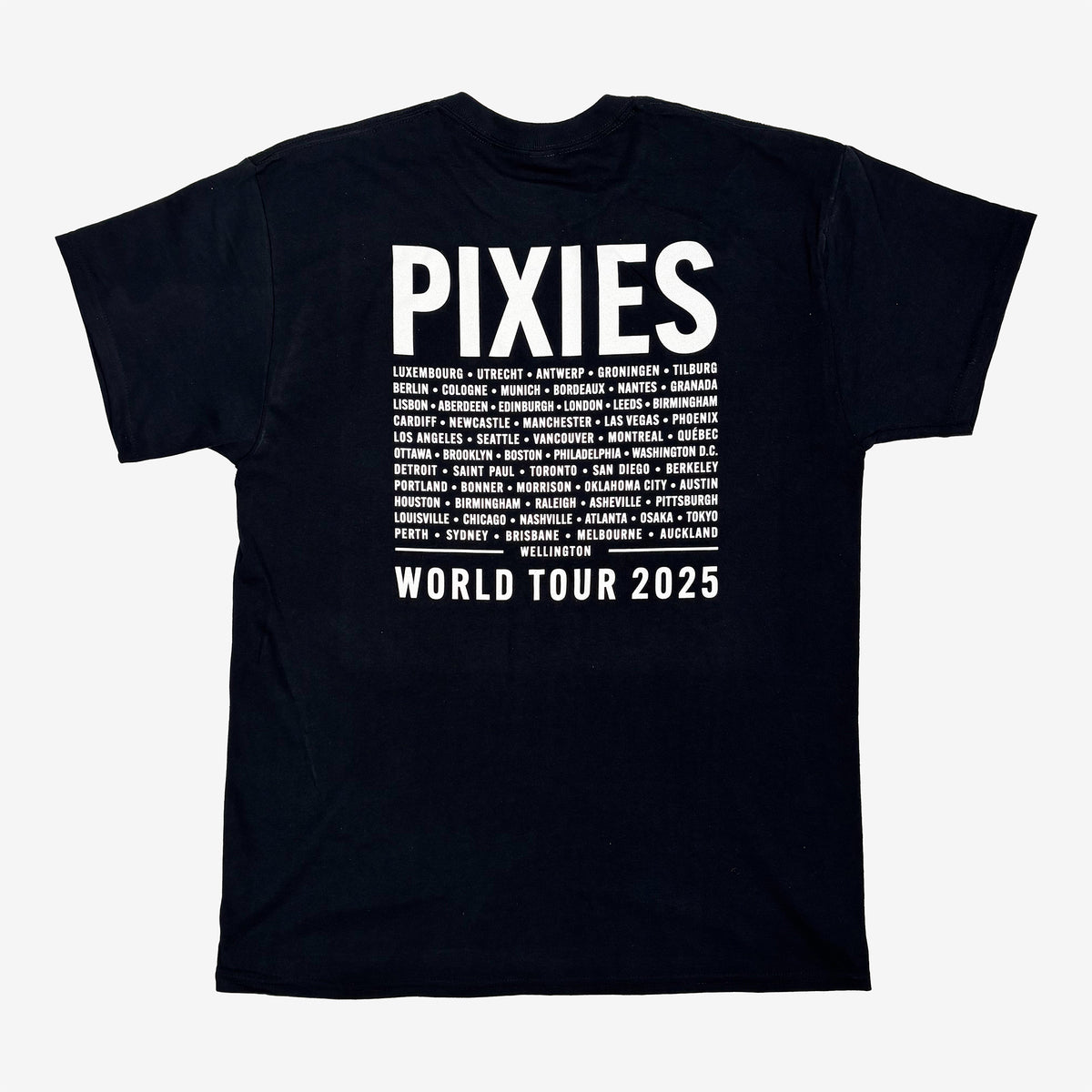 Pixies Scream Tee Back